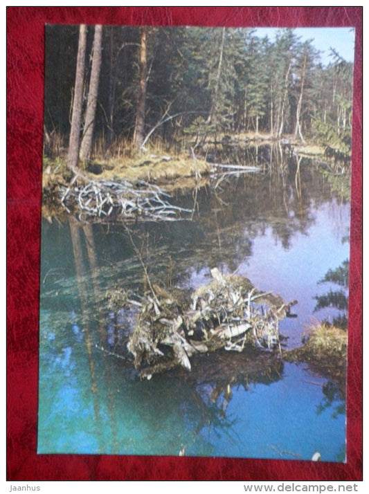 Pandivere Upland - the source of the river Võllingu - 1982 - Estonia - USSR - unused - JH Postcards