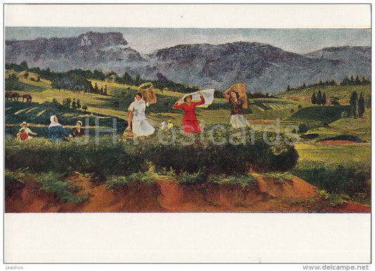 painting by A. Kutadeladze - Picking tea , 1957 - Transcaucasia - Georgian art - 1963 - Russia USSR - unused - JH Postcards
