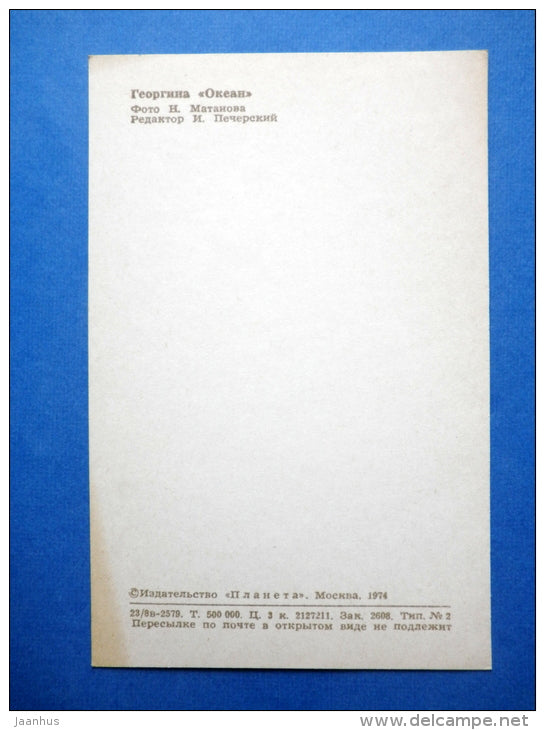 Ocean - dahlia - flowers - 1974 - Russia USSR - unused - JH Postcards