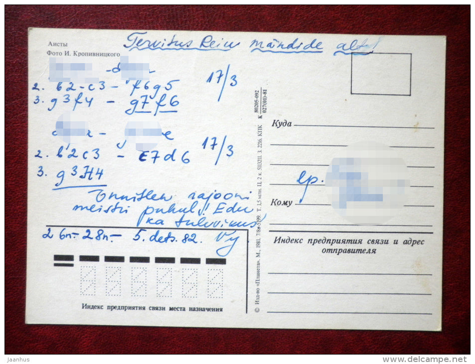 White Stork - Ciconia ciconia - birds - 1981 - Russia - USSR - used - JH Postcards