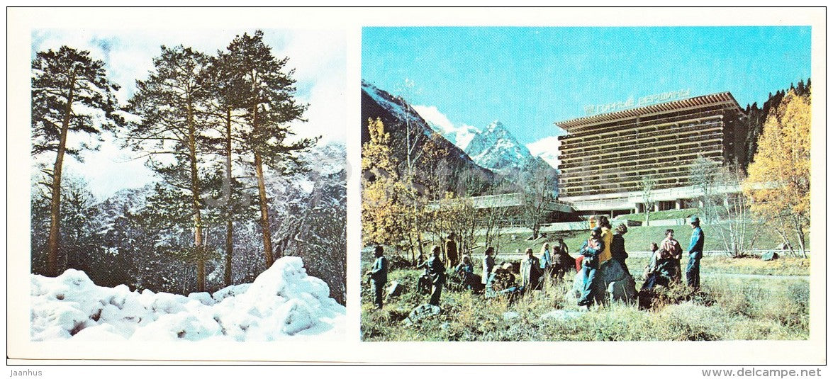 pines on the mountain-slopes - hotel Mountain-Tops Dombay - Karachay-Cherkessia - Caucasus - Russia USSR - 1983 - unused - JH Postcards