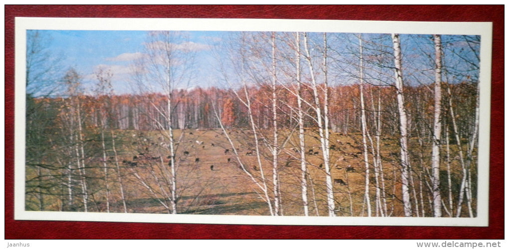 forest pasture - Yasnaya Polyana - Museum-Estate of Leo Tolstoy - 1976 - Russia USSR - unused - JH Postcards