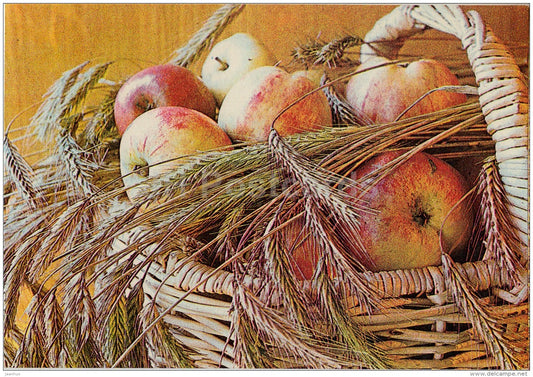 Autumn - Apples - Corn - Basket - 1982 - Estonia USSR - used - JH Postcards
