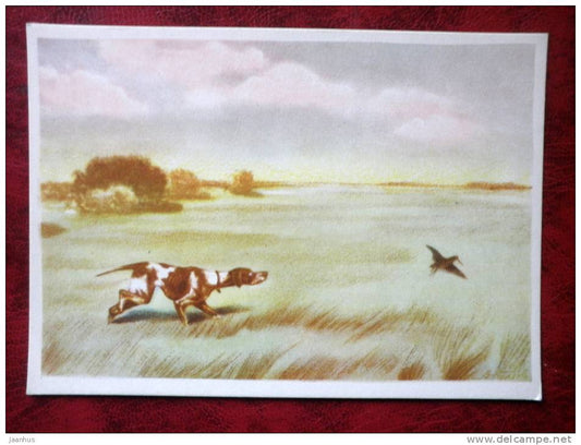 Painting by V. I. Kurdov - bird hunting dog - russian art - unused - JH Postcards