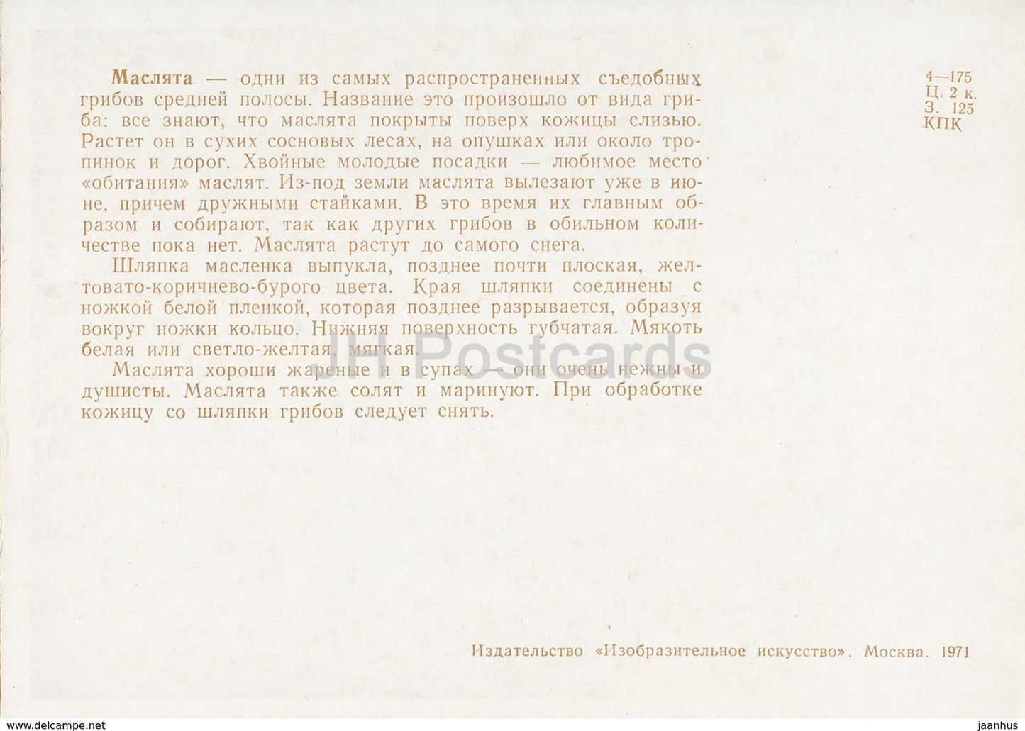 Suillus - mushrooms - illustration - 1971 - Russia USSR - unused