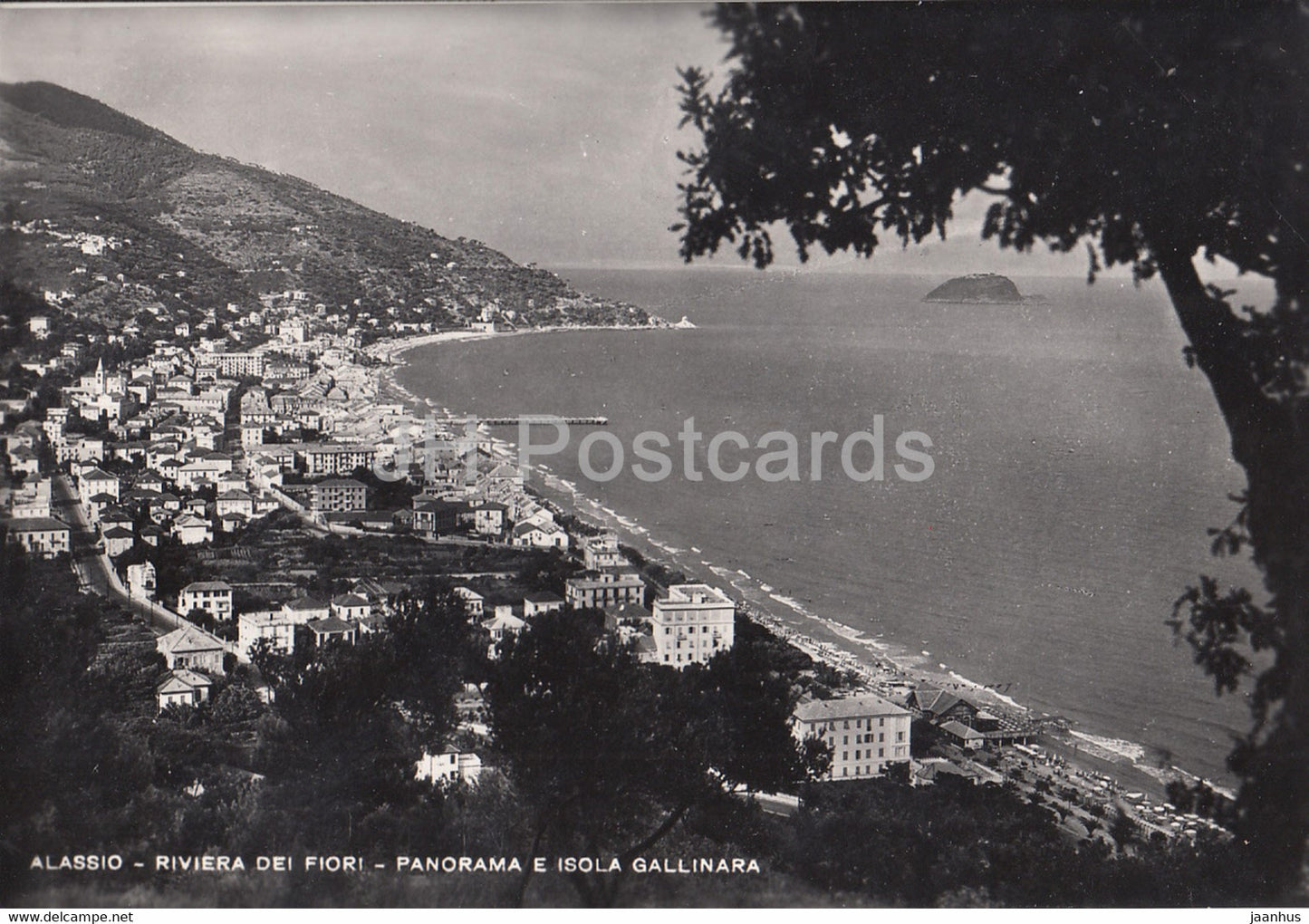 Alassio - Riviera dei Fiori - Panorama e Isola Gallinara - old postcard - 1950 - Italy - used - JH Postcards
