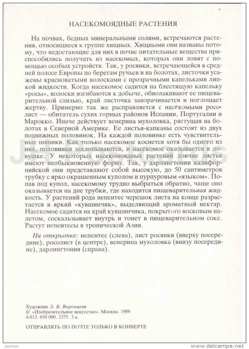 Drosophyllum - Spoon-leaf Sundew - nepenthes - Carnivorous Plants - Amazing Plants - 1989 - Russia USSR - unused - JH Postcards