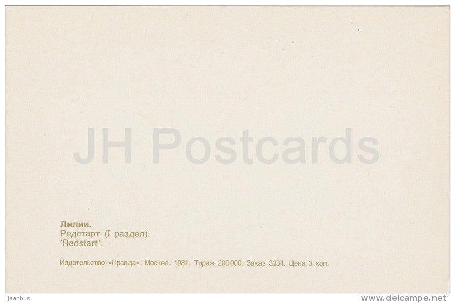 Redstart - flowers - Lily - Russia USSR - 1981 - unused - JH Postcards
