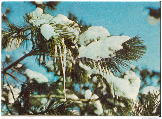 mini New Year greeting card - fir tree - winter - 1980 - Estonia USSR - unused - JH Postcards