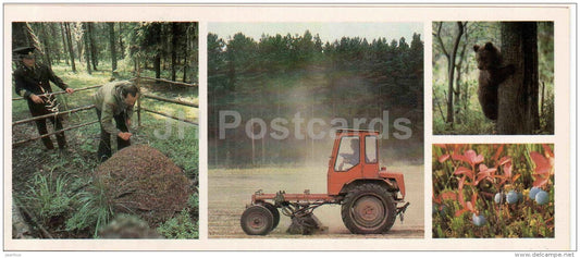 anthill - tractor - bear - Vologda Region - 1987 - Russia USSR - unused - JH Postcards
