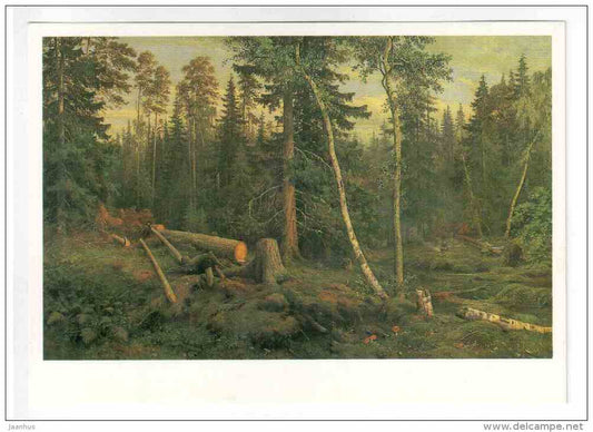 painting by I. I. Shishkin - Lumbering , 1867 - russian art - unused - JH Postcards