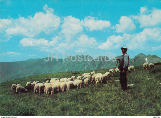 Rila - sheep - shepherd - 1986 - Bulgaria - used - JH Postcards