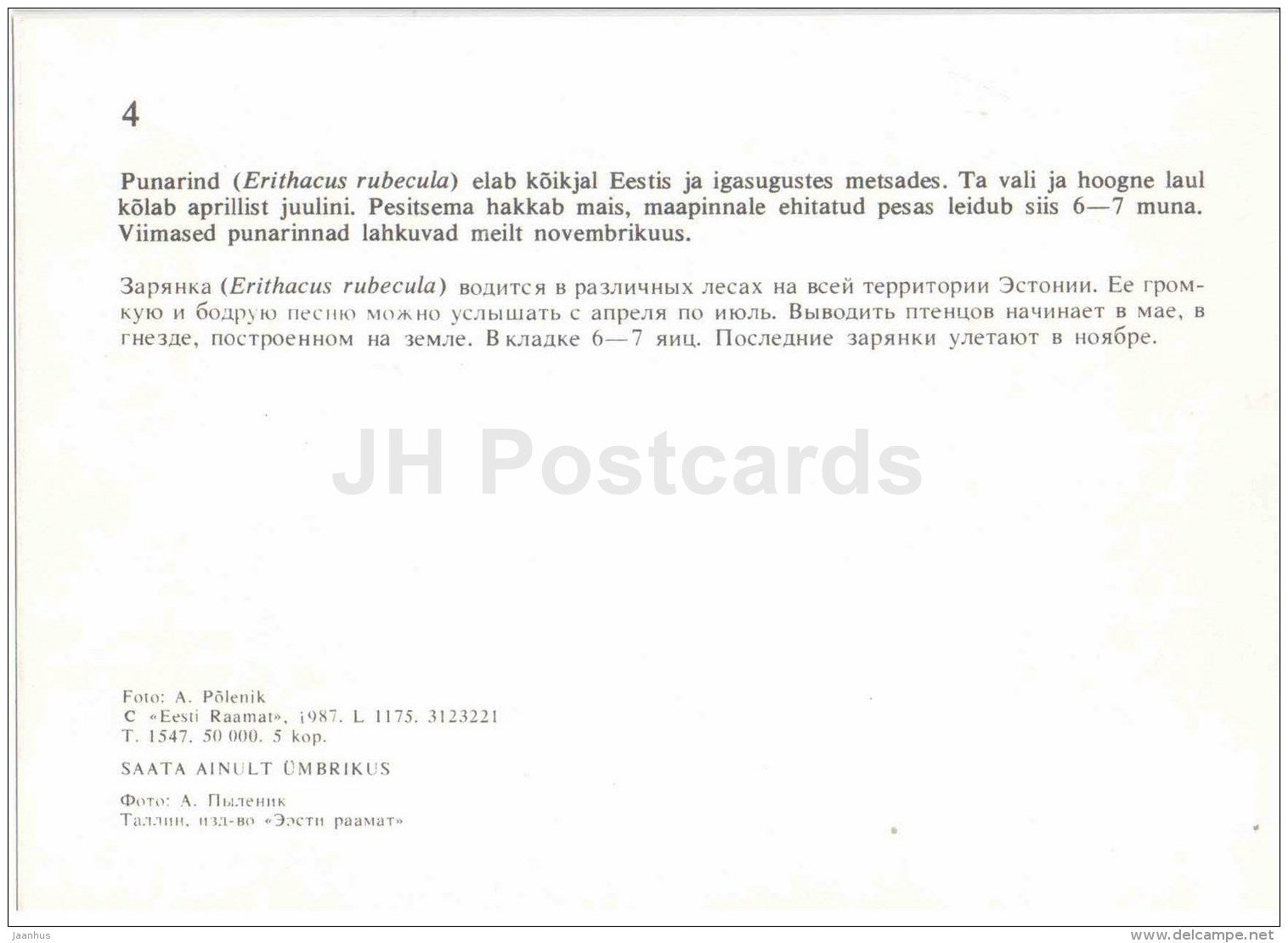 European robin - Erithacus rubecula - bird - Estonian Birds - 1987 - Estonia USSR - unused - JH Postcards