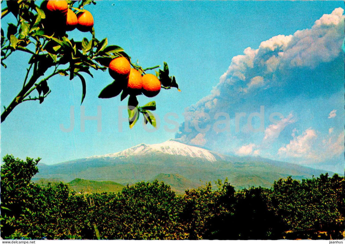 Sicilia pittoresca - Sicily - Catania - orange - 1003 - Italy - unused - JH Postcards