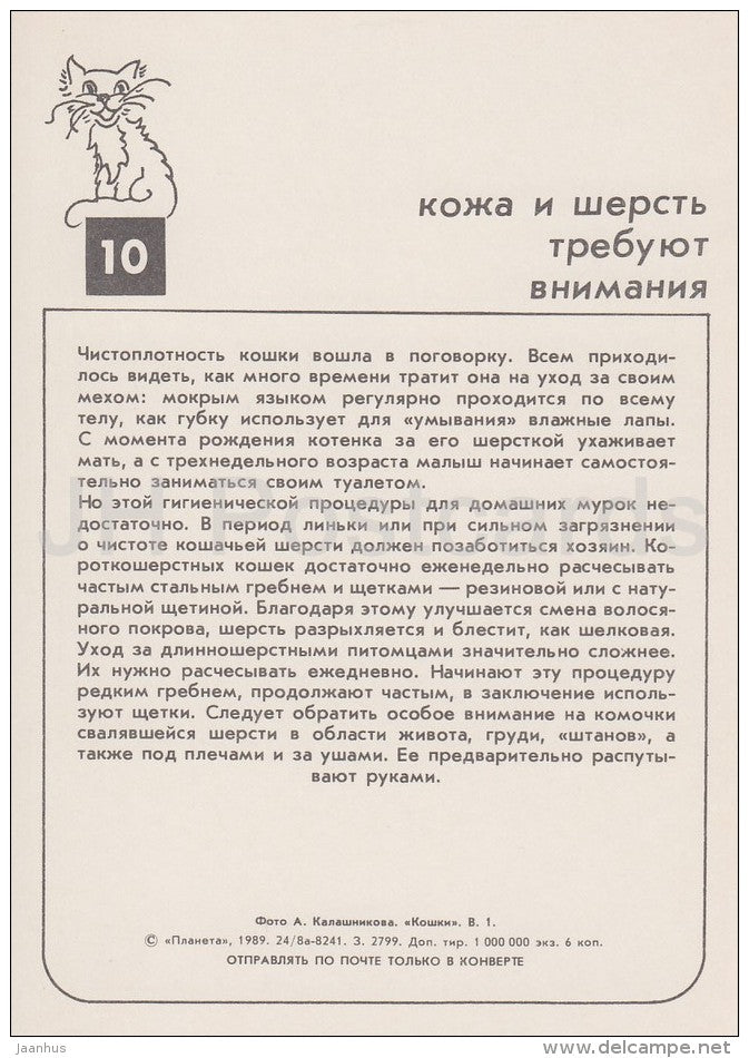 Longhair Cat - cats - Russia USSR - 1989 - unused - JH Postcards