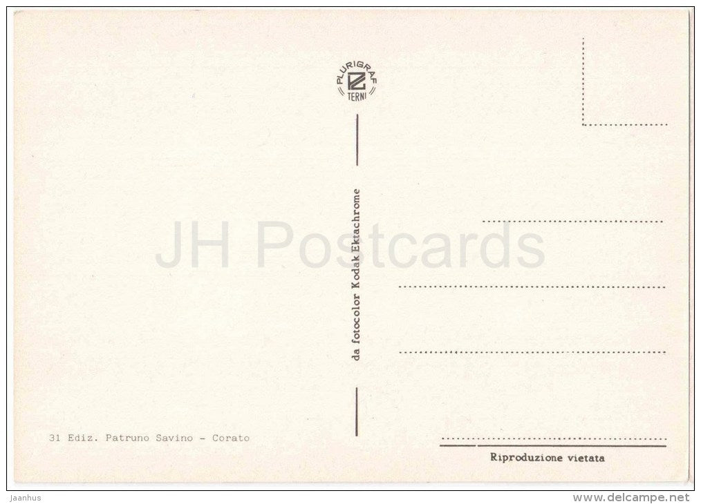 cathedral - Saluti da Ruvo di Puglia - Bari - Puglia - 31 - Italia - Italy - unused - JH Postcards