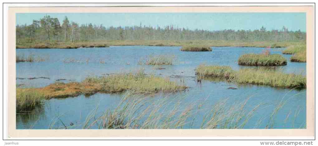 Marshy lake - Lapland reserve - 1980 - Russia USSR - unused - JH Postcards