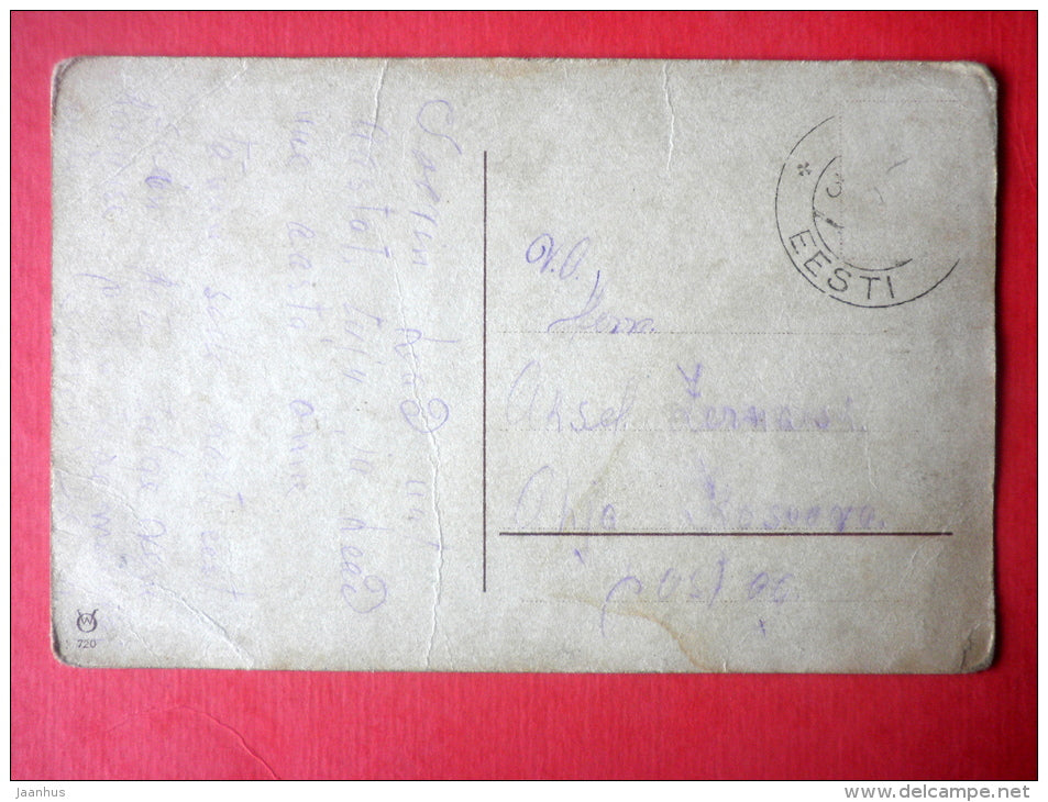 new year greeting card - cones - flowers - WO 720 - circulated in Estonia 1930s - JH Postcards