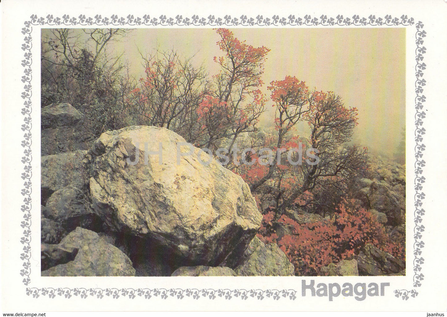 Karadag - Scumpia tree - plants - Crimea - 1989 - Ukraine USSR - unused - JH Postcards