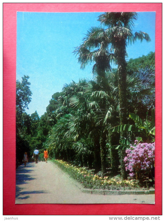 Palm Alley - Nikitsky Botanical Garden - Yalta - Crimea - 1972 - Ukraine USSR - unused - JH Postcards