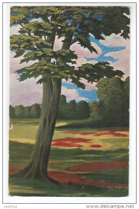 illustration - oak tree ? - Peluba 228 - old postcard - Estonian library seal - unused - JH Postcards
