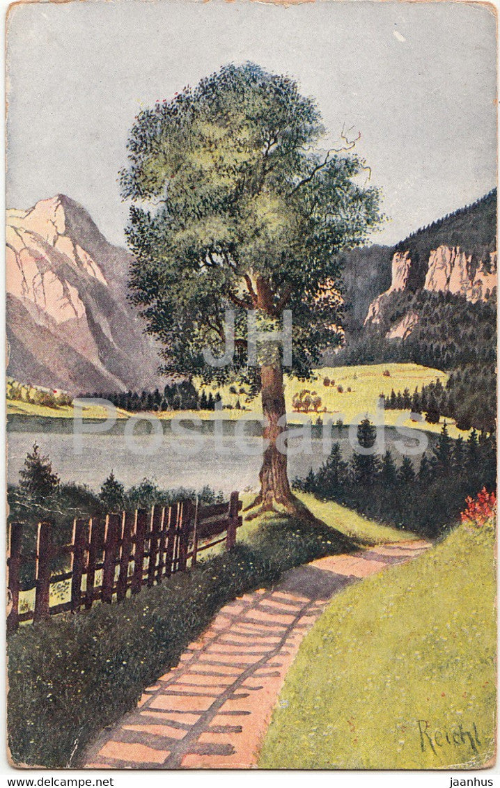 Nature - tree - illustration by Reichl - old postcard - Germany - unused - JH Postcards