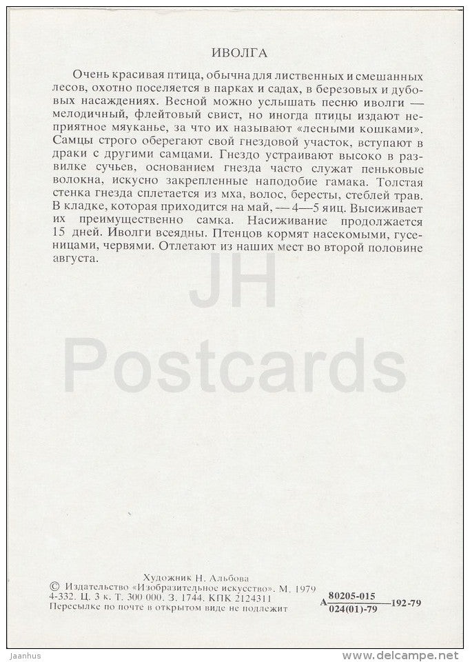 Eurasian golden oriole - Oriolus oriolus - Birds of Russian Forest - 1979 - Russia USSR - unused - JH Postcards