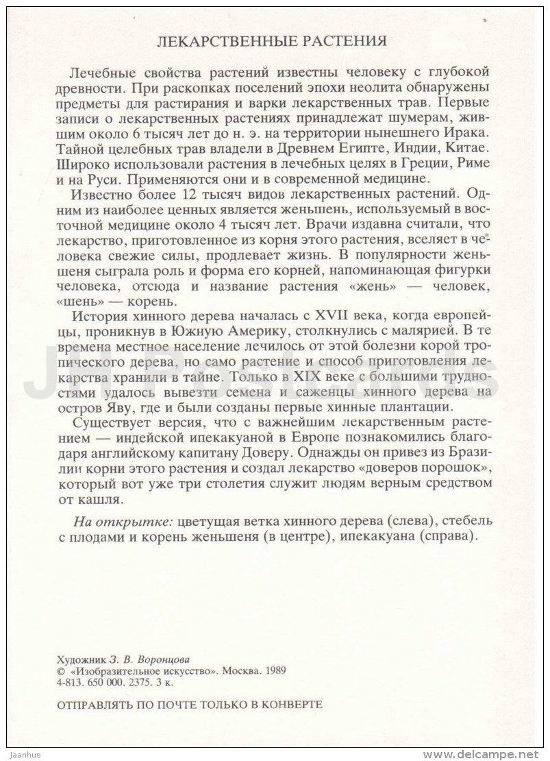 sailing ship - ipecac - ginseng - cinchona - Medicinal plants - Amazing Plants - 1989 - Russia USSR - unused - JH Postcards