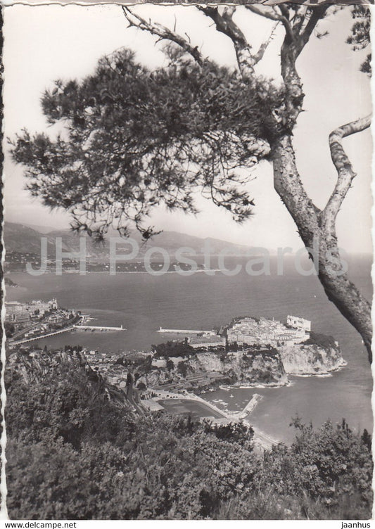 Vue generale entre les Pins - old postcard - 1953 - Monaco - used - JH Postcards