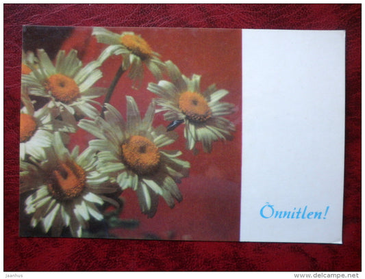 Birthday Greeting Card - daisies - flowers - 1975 - Estonia - USSR - unused - JH Postcards