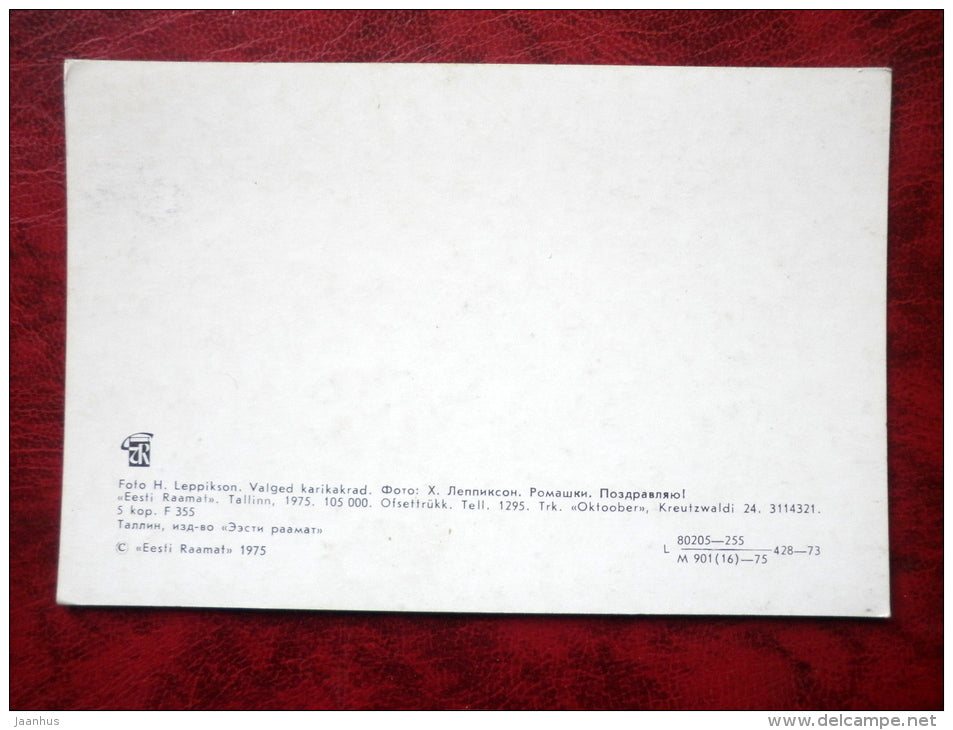 Birthday Greeting Card - daisies - flowers - 1975 - Estonia - USSR - unused - JH Postcards