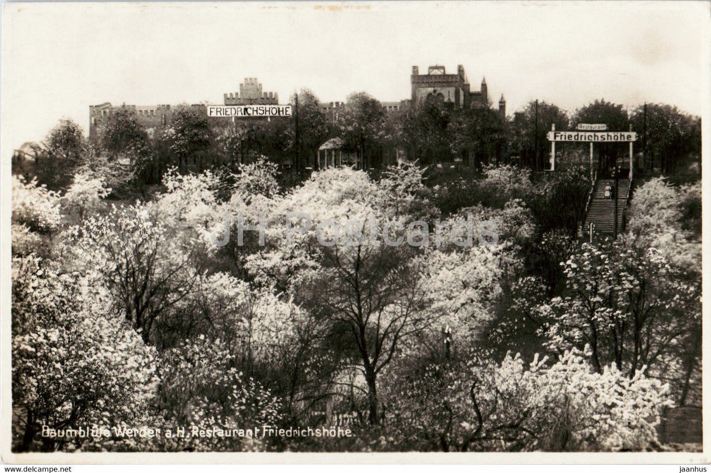 Baumblute Werder a H Restaurant Friedrichshohe - old postcard - 1930 - Germany - used - JH Postcards