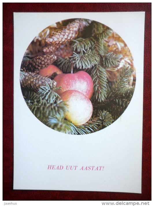 New Year Greeting card - apples - fir cones - 1985 - Estonia USSR - unused - JH Postcards