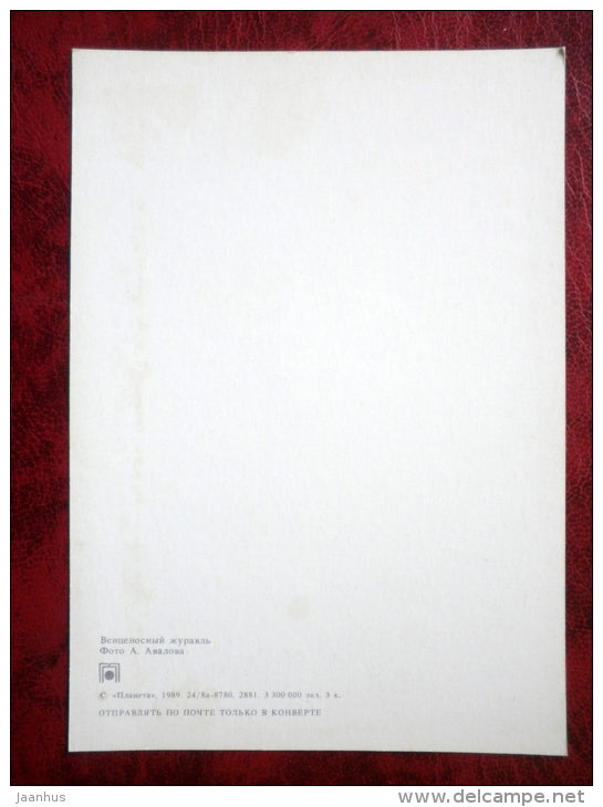 Black Crowned Crane - Balearica pavonina - birds - 1989 - Russia - USSR - unused - JH Postcards