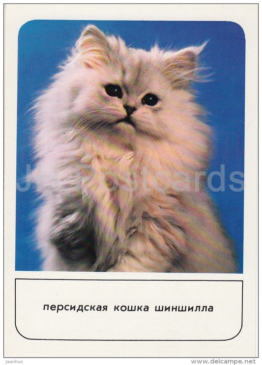 Persian Cat Chinchilla - cats - Russia USSR - 1989 - unused - JH Postcards