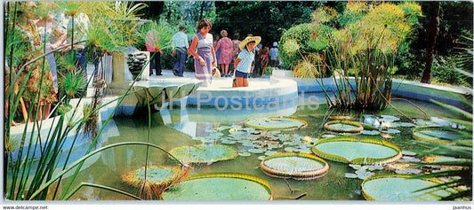 Sochi - Dendrarium - The pool Shell - 1979 - Russia USSR - unused - JH Postcards