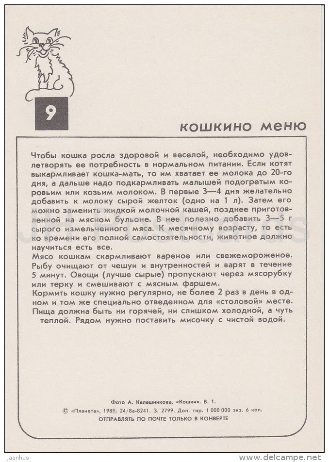 Persian Cat Chinchilla - cats - Russia USSR - 1989 - unused - JH Postcards
