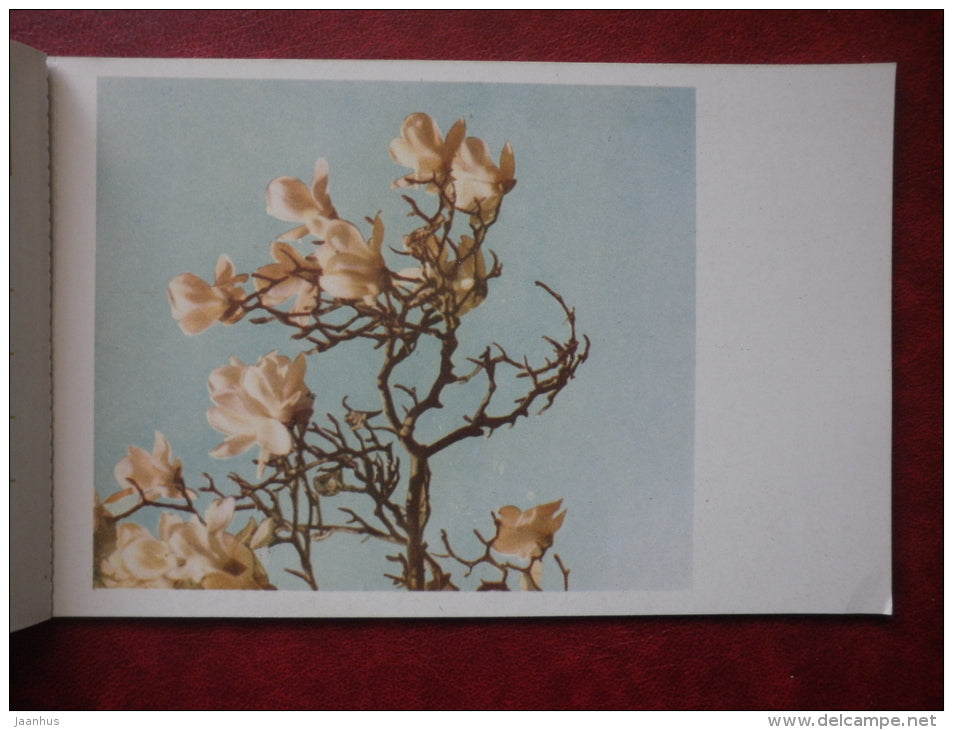 Flowers - set of 12 postcards - printed in People´s Republic of China - 1962 - China  - unused - JH Postcards