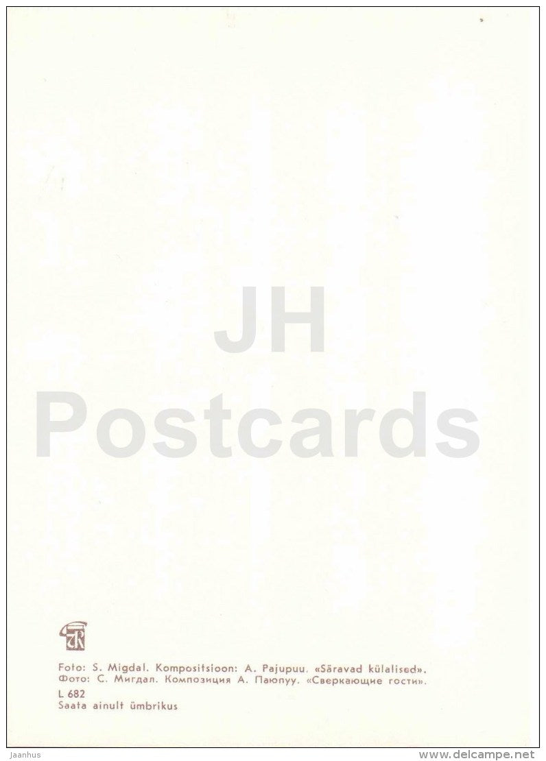 composition Shiny guests - branches - decorations - ikebana - 1979 - Estonia USSR - unused - JH Postcards