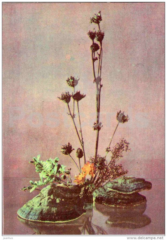 composition Family - plants - decorations - ikebana - 1979 - Estonia USSR - unused - JH Postcards