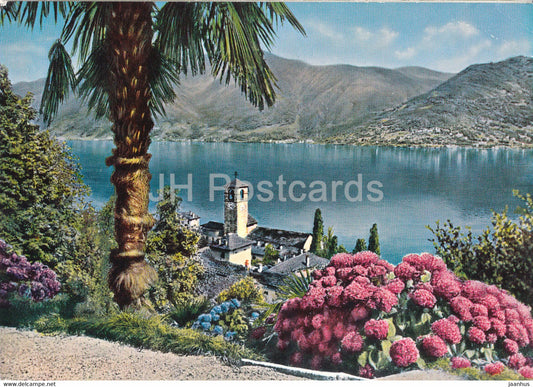 Brissago - Lago Maggiore - 504 - 1975 - Switzerland - used - JH Postcards