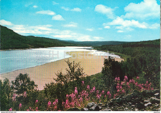 The Tana river - Norway - unused - JH Postcards
