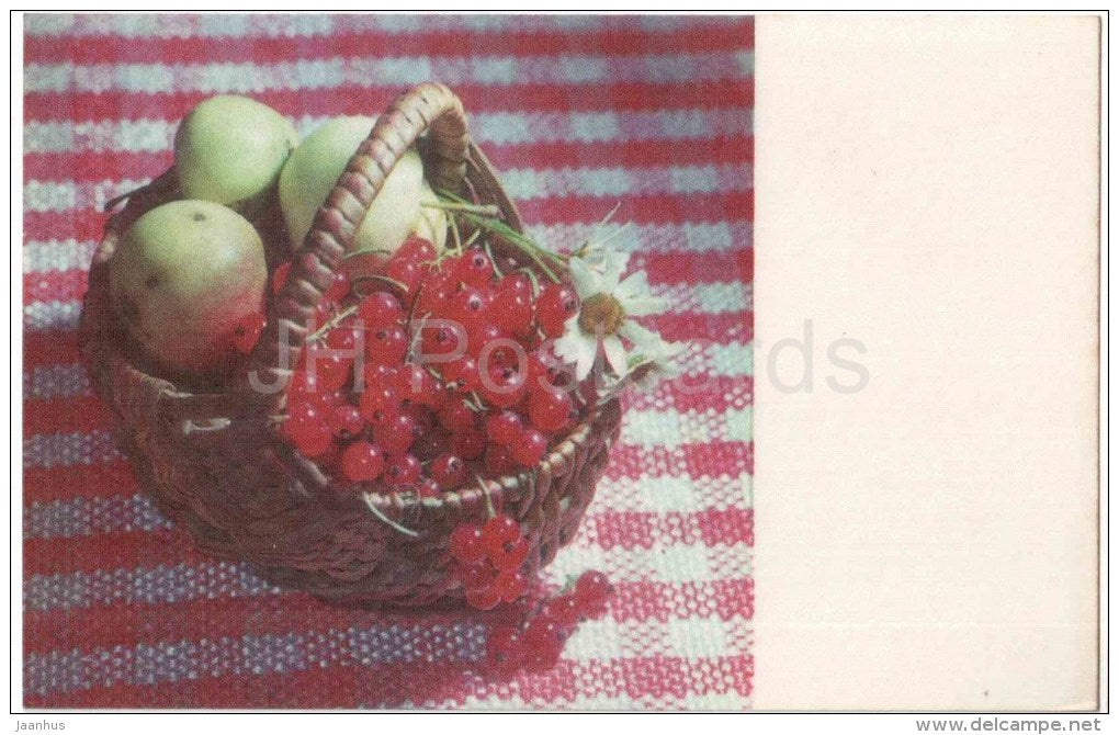 daisy - apple - redcurrant - flowers - 1975 - Estonia USSR - used - JH Postcards