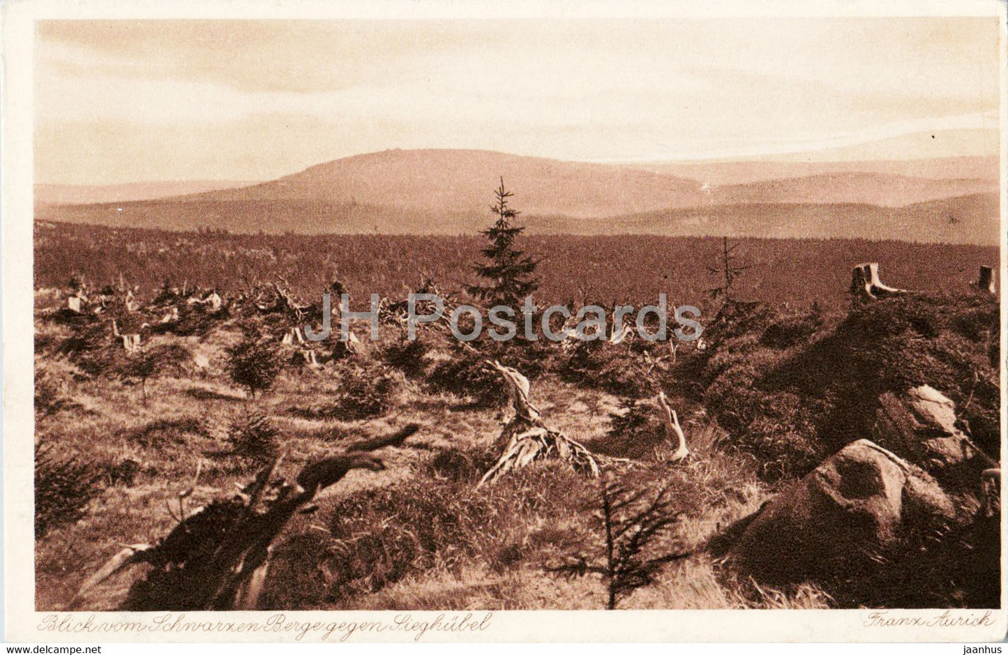 Isergebirge - Jizerske Hory - Blick vom Schwarzen Berge zum Sieghubel - old postcard - Czech Republic - unused - JH Postcards