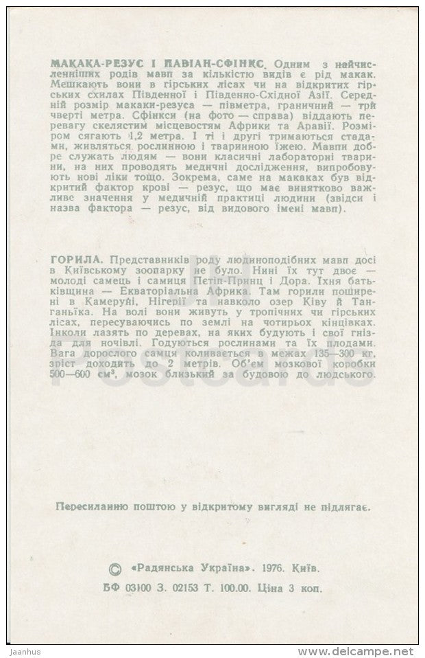 Macaque - Gorilla - Kiev Kyiv Zoo - 1976 - Ukraine USSR - unused - JH Postcards