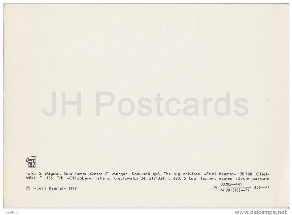 The big Oak-Tree - Estonian writer A. H. Tammsaare - 1977 - Estonia USSR - unused - JH Postcards