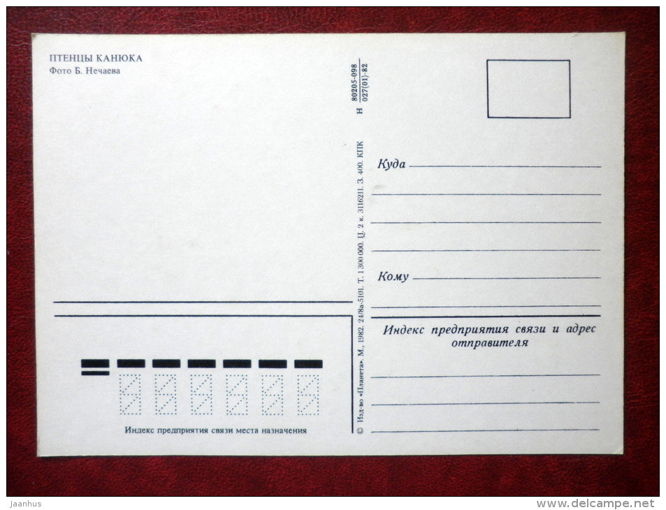 Common Buzzard - Buteo buteo - birds - 1982 - Russia USSR - unused - JH Postcards