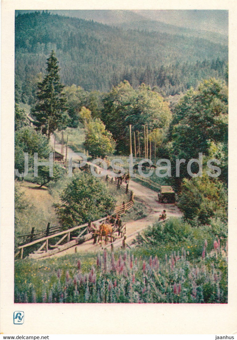 Carpathian Mountains - Karpaty - In the Valley - 1964 - Ukraine USSR - unused - JH Postcards