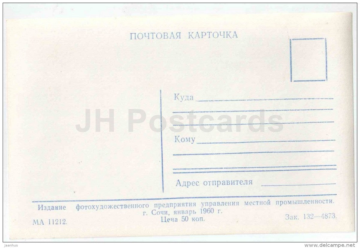 Yucca flower - dendrarium - Sochi - photo card - 1960 - Russia USSR - unused - JH Postcards