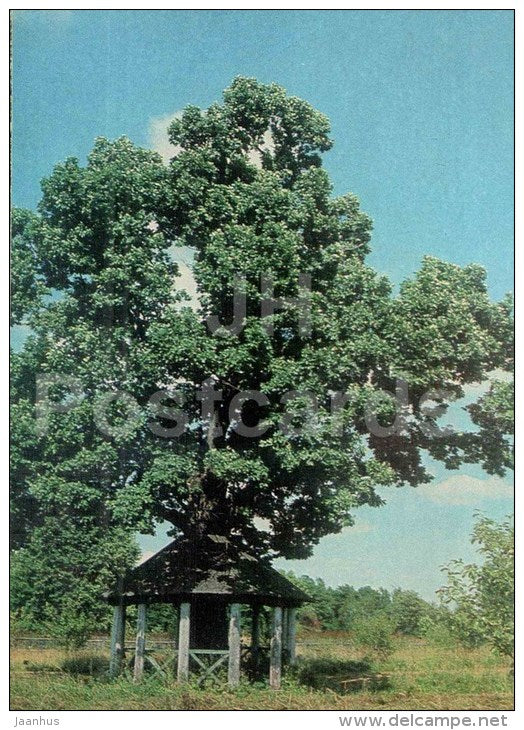 Pavilion - tree - Museum-Reserve of A.S. Pushkin Mikhailovskoye - postal stationery - 1977 - Russia USSR - unused - JH Postcards